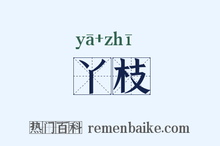 丫枝是什么意思的图片